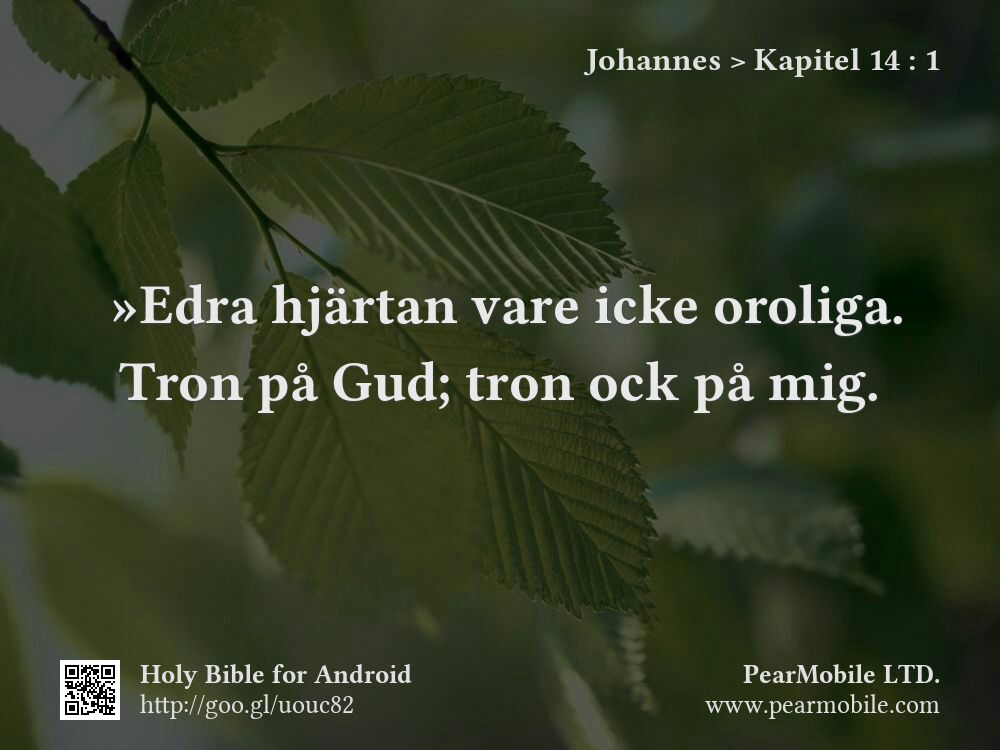 Johannes, Kapitel 14:1